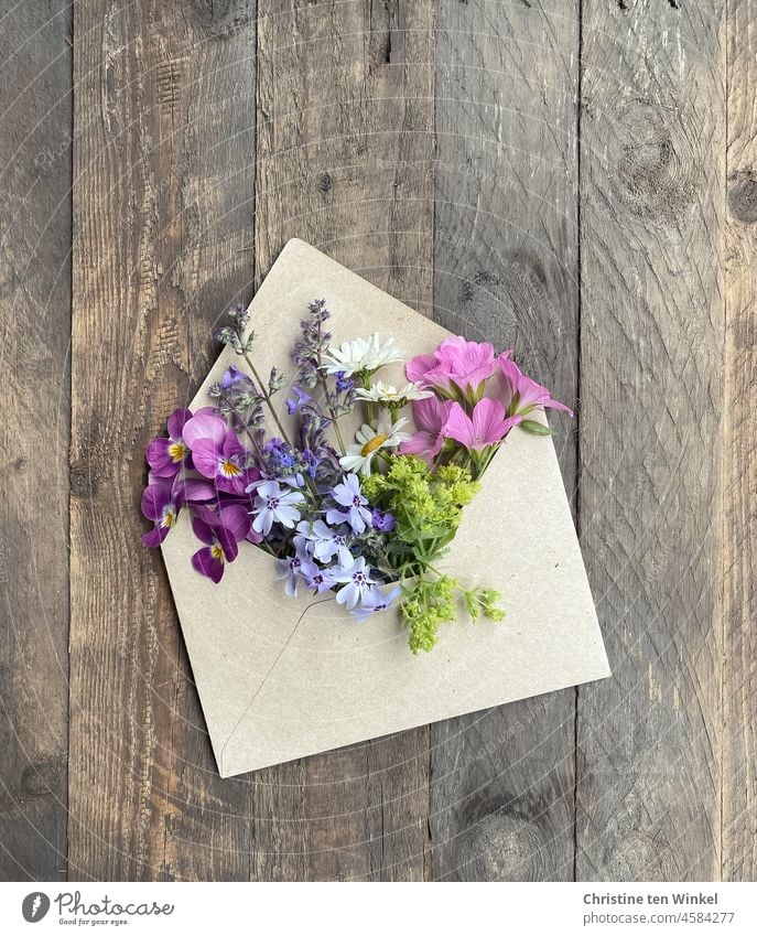 Frische Blüten stecken in einem Briefumschlag, der auf einem verwitterten Holzuntergrund liegt Blumen Blumengruß Frühlingsboten Frühsommer Blumenarrangement