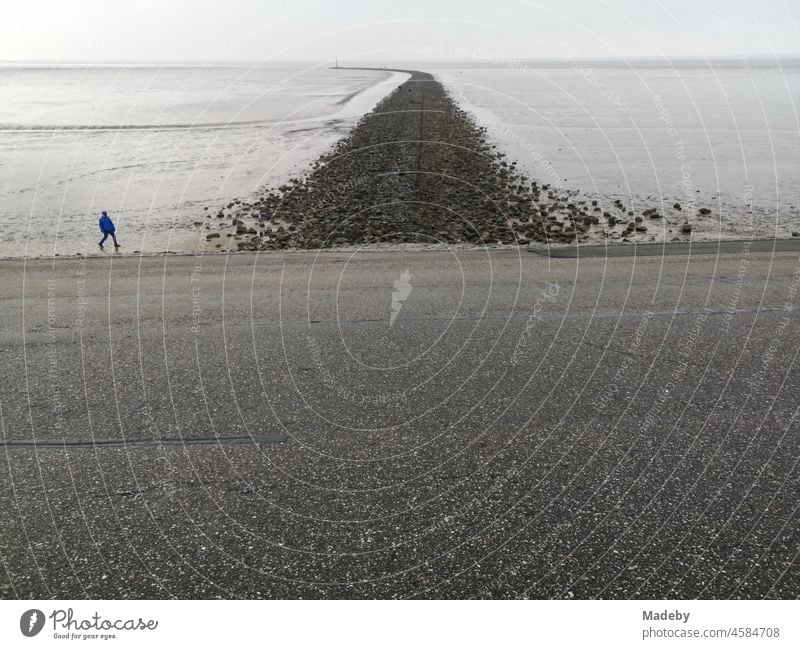 Das Weltkulturerbe Wattenmeer mit asphaltiertem Deich an der Küste der Nordsee in Norddeich bei Norden in Ostfriesland in Niedersachsen Meer Nordseeküste Natur