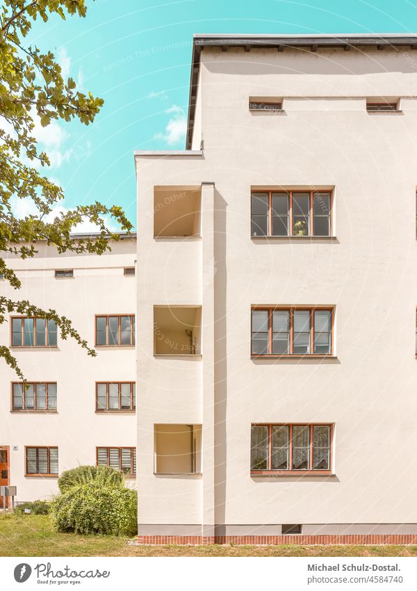 Frontalansicht eines Bauhausgebäudes in Pastellfarben anger grün Farbfoto Haus Bauwerk Moderne Architektur rasen Menschenleer Magdeburger Moderne mietskaserne