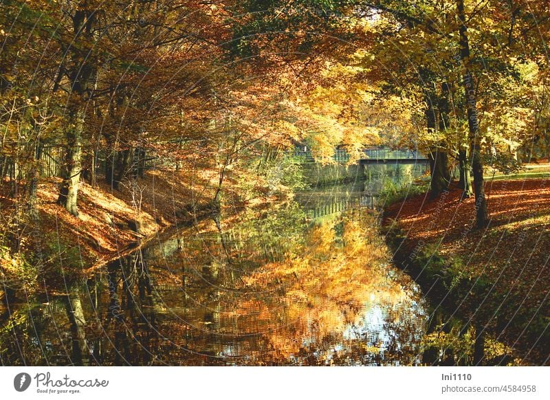 Herbststimmung im Stadtpark Laubbäume Bäume Blätter Herbstfärbung Fluß Wasser Flußlauf Spiegelung Ufer Brücke Licht Schatten Sonnenschein Schattenspiele