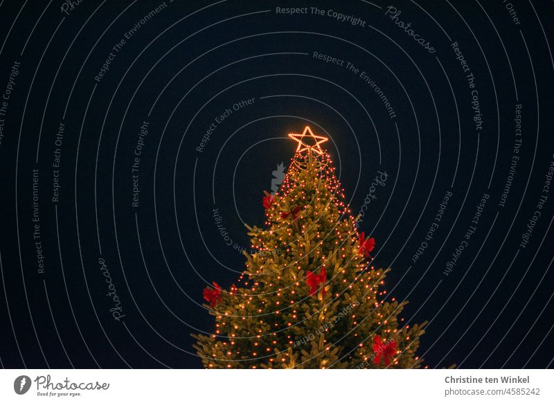 ein geschmückter großer Weihnachtsbaum mit Lichterkette, roten Schleifen und leuchtendem Stern auf der Spitze Weihnachten & Advent Baumschmuck Tradition
