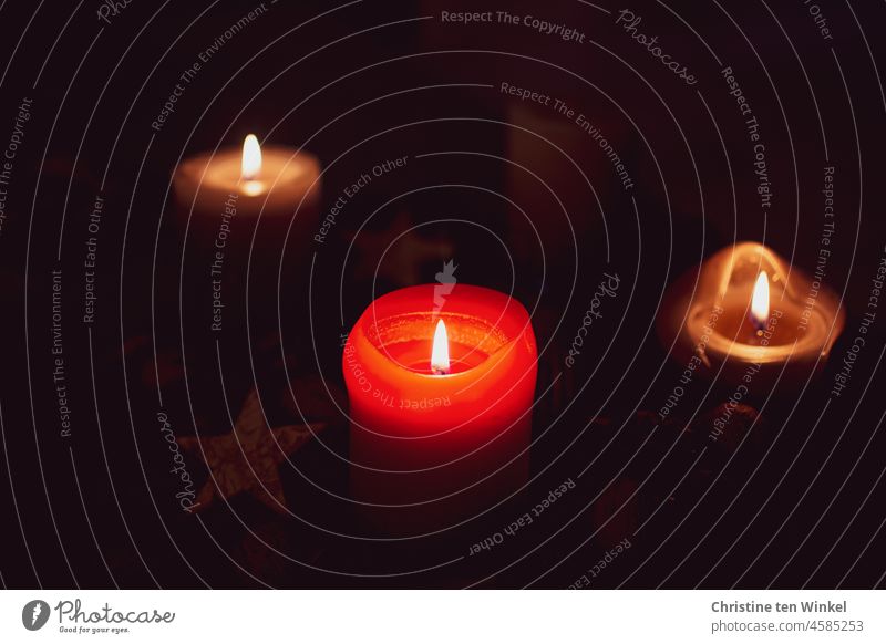 Drei brennende Kerzen auf dem Adventskranz erhellen die Dunkelheit Kerzenschein Weihnachten & Advent Feste & Feiern gemütlich Licht Flamme Kerzenflamme Stimmung
