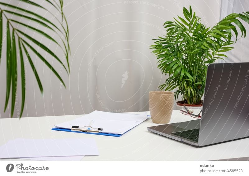 Weißer Tisch mit Laptop und Töpfen mit Pflanzen, freiberuflicher Arbeitsplatz Büro Business Computer niemand Schreibtisch Technik & Technologie heimwärts modern