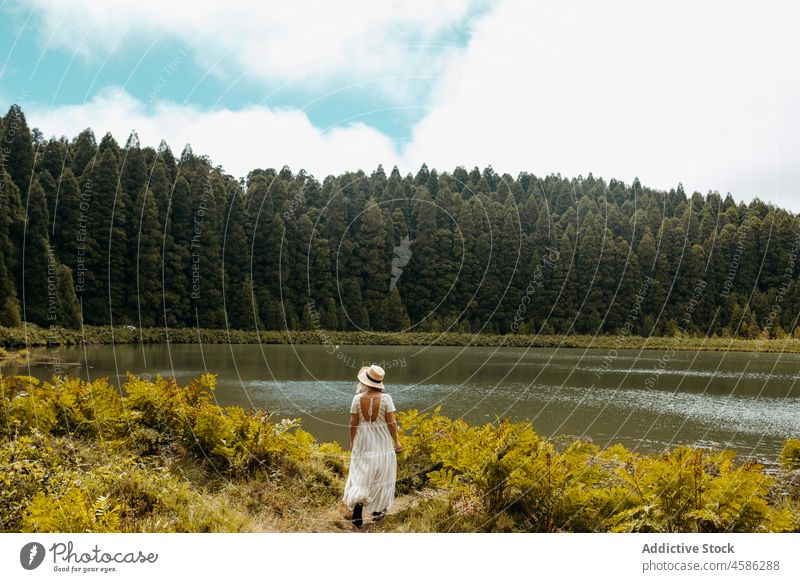 Anonyme Frau steht in der Nähe von See und Wald Natur nadelhaltig Ufer Sommer Wälder Seeufer reisen Windstille Baum Kleid sich[Akk] entspannen Wasser