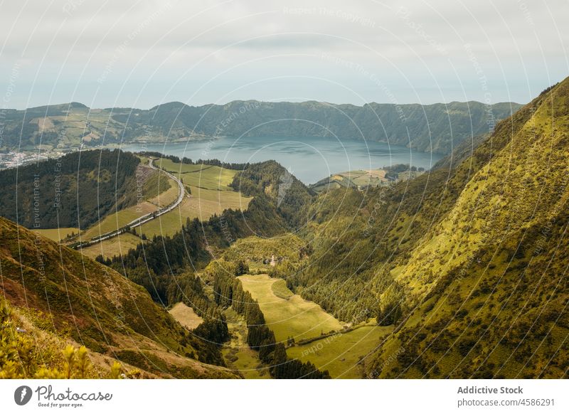 Malerische Landschaft mit Bergtal und See Berge u. Gebirge Natur Berghang grün Baum Wald Buchse felsig Wasser malerisch Azoren São Miguel Portugal Pflanze Blüte