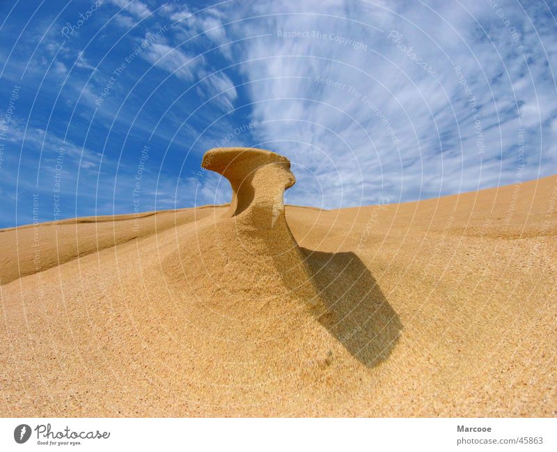 Sand Struktur Neuseeland 90 Mile Beach Meer Strukturen & Formen Himmel und Sand