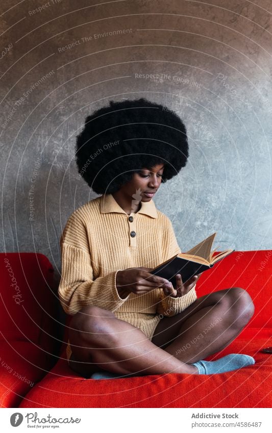 Schwarze Frau liest Buch auf Sofa lesen Liege heimwärts Literatur Freizeit Komfort sich[Akk] entspannen schwarz Afroamerikaner Afro-Look achtsam Hobby jung