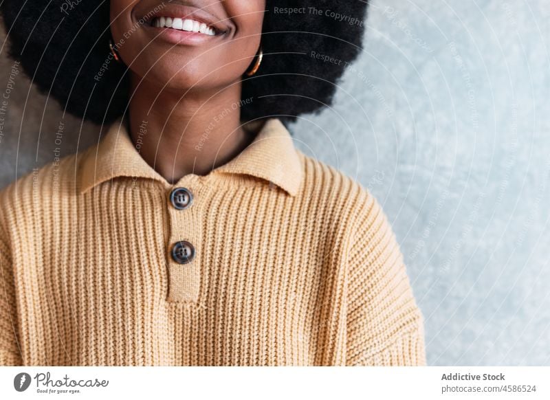 Ausschnitt einer schwarzen Frau, die in die Kamera schaut Lächeln Porträt heiter Afro-Look Vorschein lustig Afroamerikaner krause Haare jung heimwärts positiv