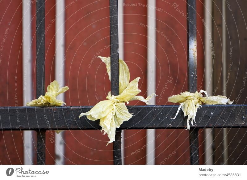 Zerrissene Papierfetzen mit Kürzel an einem schwarzen Tor aus Eisen im Galataviertel im Stadtteil Beyoglu in Istanbul am Bosporus in der Türkei Papierreste Band