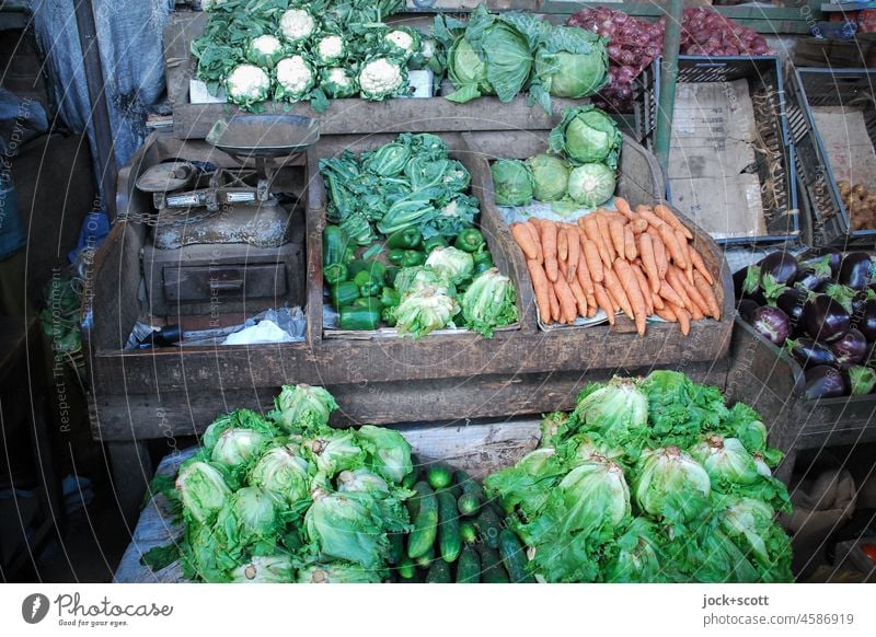 Schlaraffenland | für Vegetarier und alle die es werden wollen Markt Gemüse Lebensmittel frisch Marktstand Waage Vegetarische Ernährung Gemüsehändler Salat