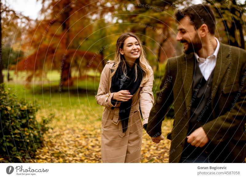 Junges Paar beim Spaziergang im herbstlichen Park Romantik Liebe zwei Partnerschaft Natur Lifestyle Freundin Herbst Frau fallen Fröhlichkeit Freizeit