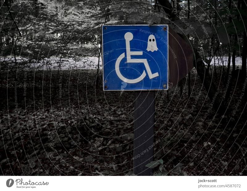 Alle Geisterfahrer sind hier richtig unterwegs Handicap Rollstuhl Mobilität Schilder & Markierungen Laubbaum Monochrom Wegweiser anders Natur Ausflugsziel