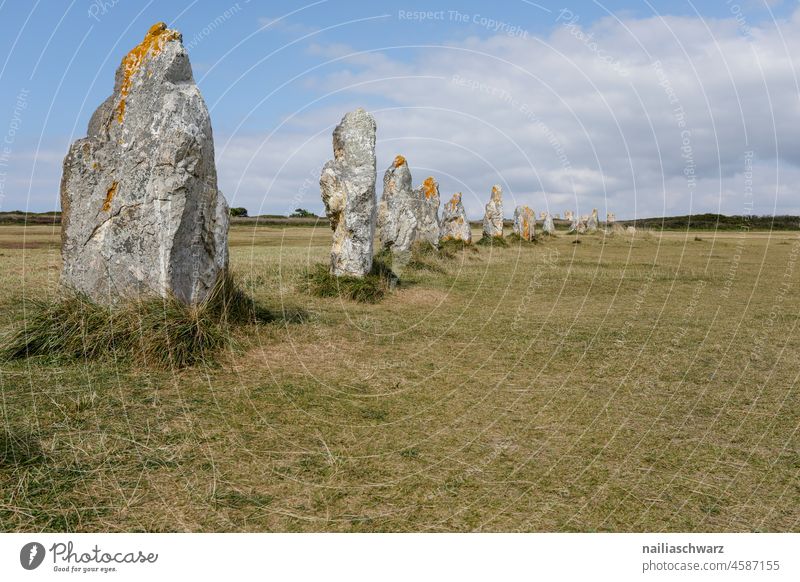 Bretagne Frankreich Felsen Steine Steinreihen von Lagatjar Landschaft Natur Wiese Gras grasgrün Himmel Blauer Himmel Horizont Wolken Denkmal blau gelb