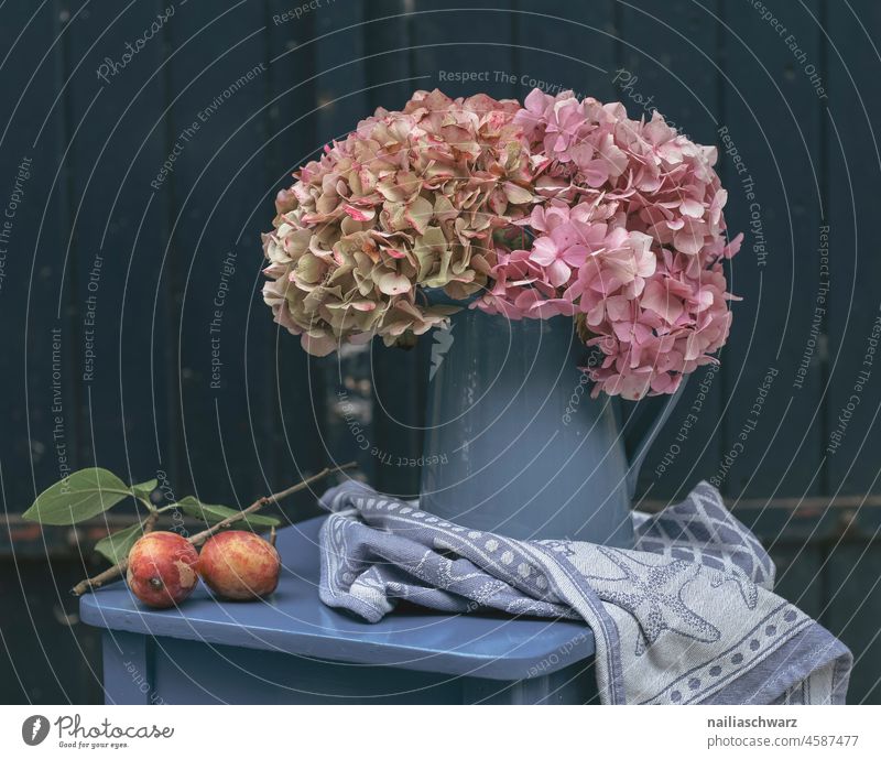 Stillleben mit Hortensien Hortensienblüte Hortensienliebe kanne Pflaume Handtuch Außenaufnahme Pastellton antik rein Romantik Frühlingsgefühle Blüte Holz retro