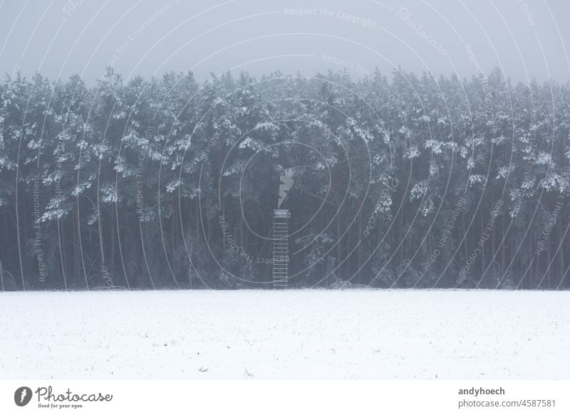 Einzelner Hochsitz in einer Winterlandschaft am Waldrand Abenteuer allein schön kalt Hirschjagd Hirsch-Stand Umwelt Fauna Feld Nebel Frost gefroren Spiel jagen