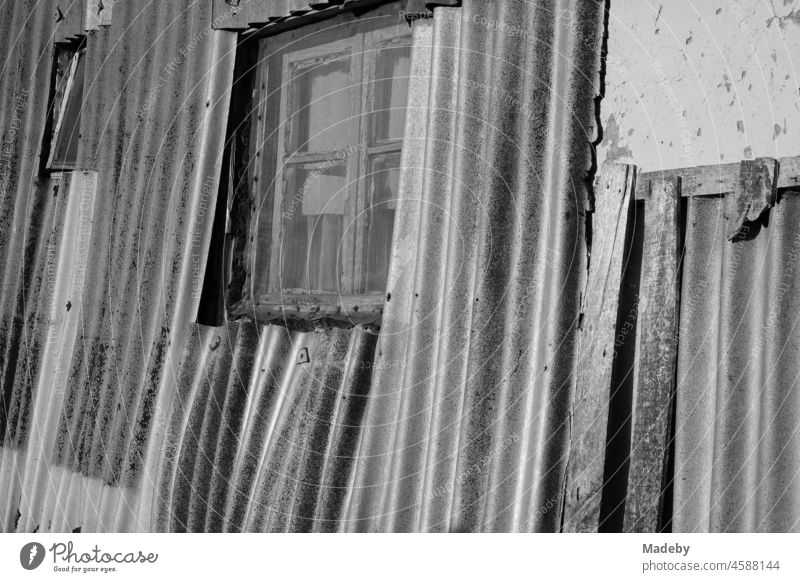 Altes graues Holzfenster mit Fliegengitter in der maroden Wellblechfassade eines alten Haus in Sommer bei Sonnenschein in der Provinz im Dorf Maksudiye bei Adapazari in der Provinz Sakarya in der Türkei, fotografiert in neorealistischem Schwarzweiß