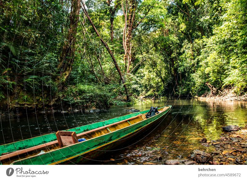 weils doch auf die länge ankommt;) Abenteurer Longboat Boot Wasserfahrzeug beeindruckend authentisch Freiheit Abenteuer Fernweh Außenaufnahme Borneo Malaysia