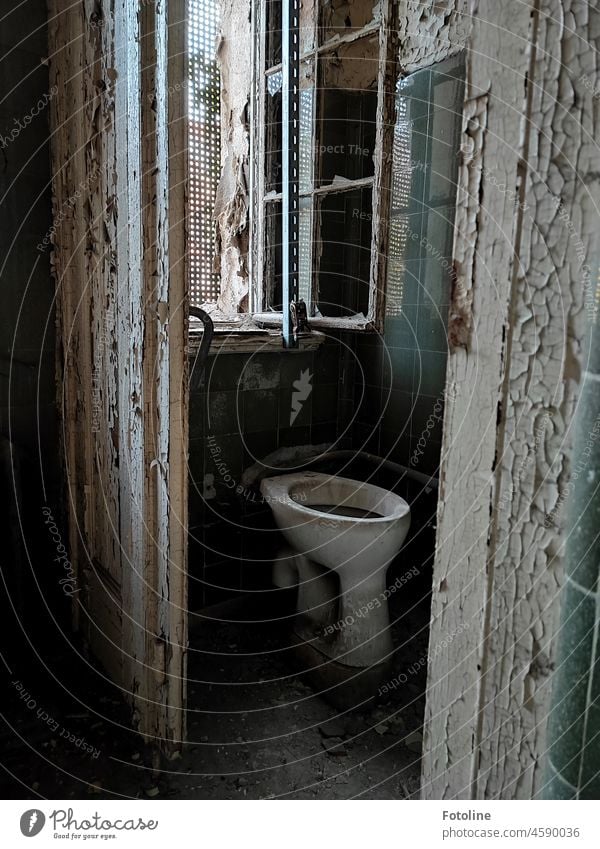 Lost Klo - Auf diese Toilette möchte sich keiner mehr setzen WC Menschenleer Farbfoto sanitär Innenaufnahme schmutzig Dreck Schmutz dreckig lost places Fenster