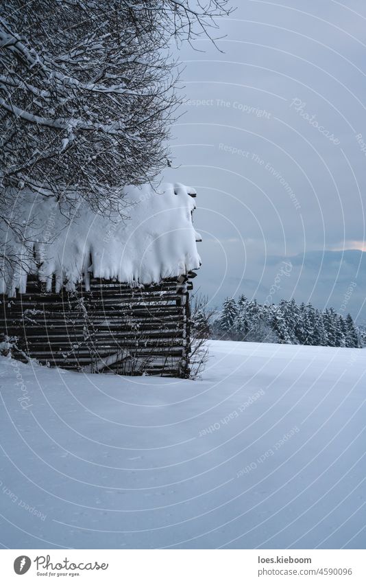 Verschneiter Stadel in alpiner Winterlandschaft, TIrol, Österreich Schnee Scheune Alpen Berge u. Gebirge Baum Weihnachten Hintergrund Haus Natur kalt Landschaft