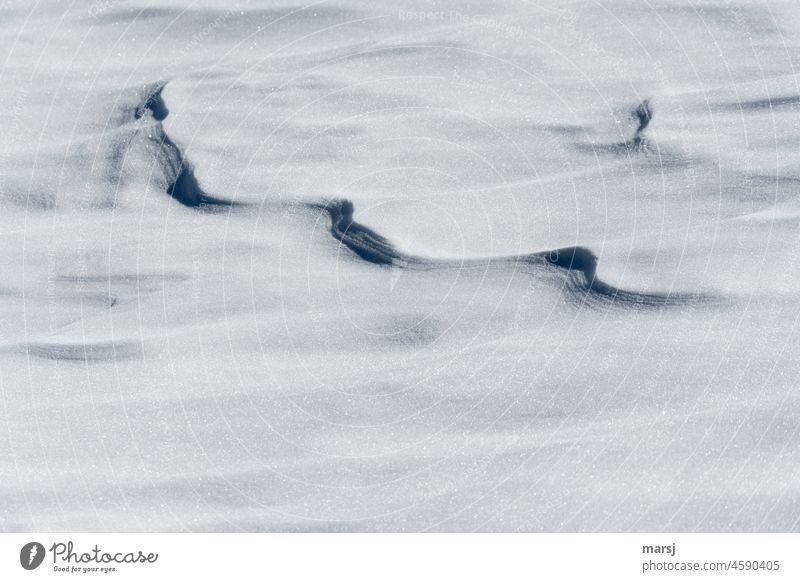 Rätselhaftes aus Schnee Kälte Wintertag Schneelandschaft Schneedecke Schwarzes Loch Schatten abstrakt Kontrast Strukturen & Formen windgeformt winterlich