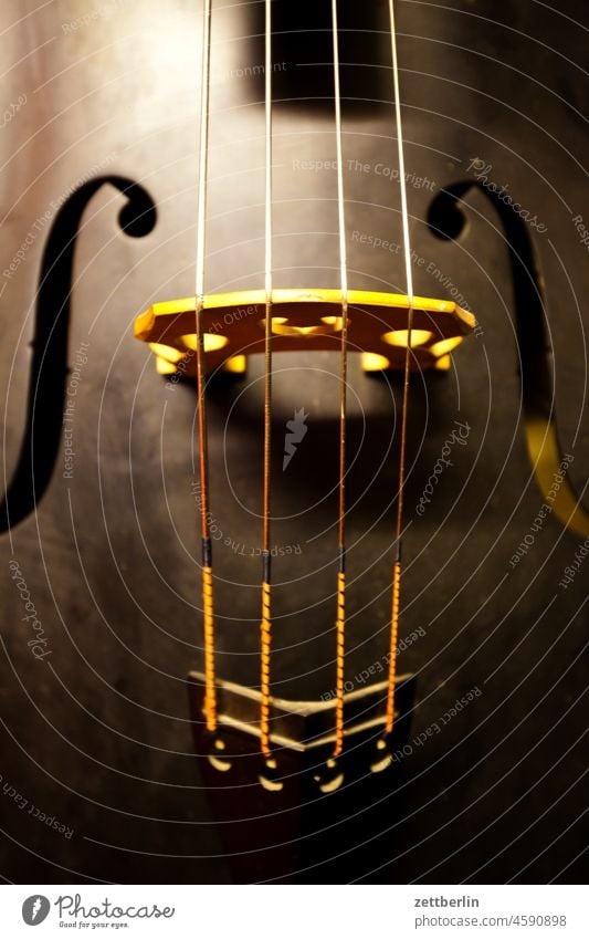 Kontrabass Saiteninstrumente brücke folk folklore hausmusik holz instrumentenbau kontrabass musikinstrument saiteninstrument steg stehen volksmusik