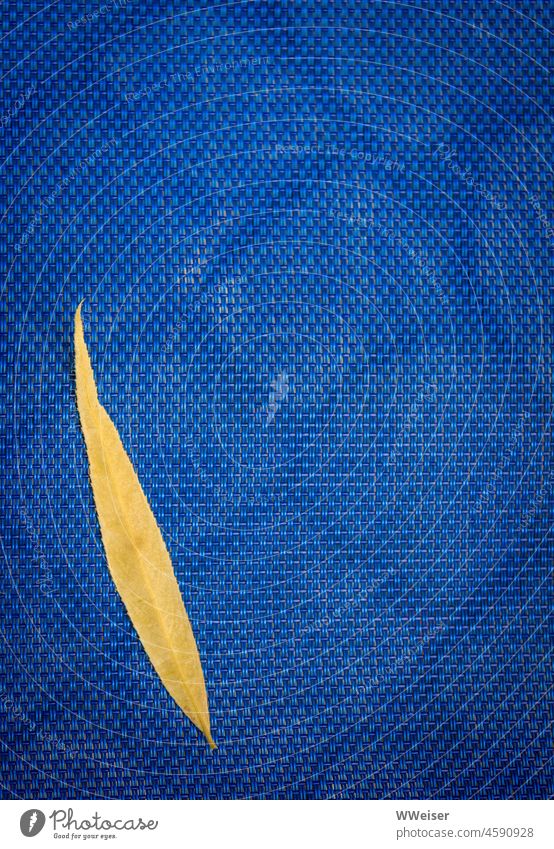 Ein schmales gelbes Blatt liegt auf einem blauen Geflecht blau und gelb Farbe Natur Textur Struktur Herbst geflochten minimalistisch Hintergrund Außenaufnahme