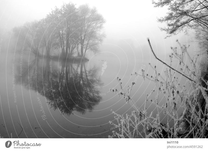 dichter Nebel am See Winter Naturerlebnis geheimnisvoll mystisch nebelig Nebelstimmung trübes Wetter Wasser kleine Landzunge Frost Raureif Baumkulisse