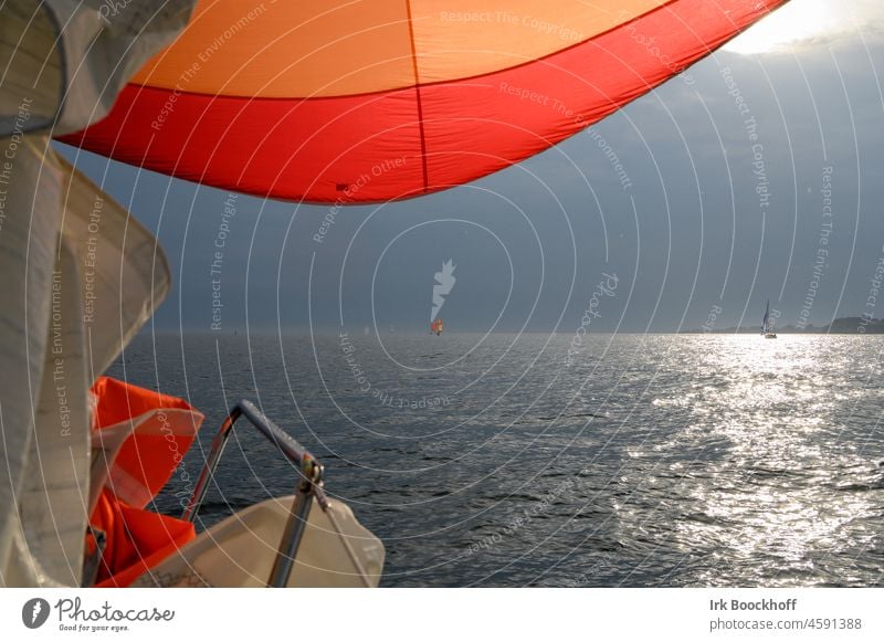 mit dem Spinnaker gegen die untergehende Sonne segeln Fernweh Ferne Freiheit Erholung Wind Segel Sport Außenaufnahme Wassersport Ferien & Urlaub & Reisen