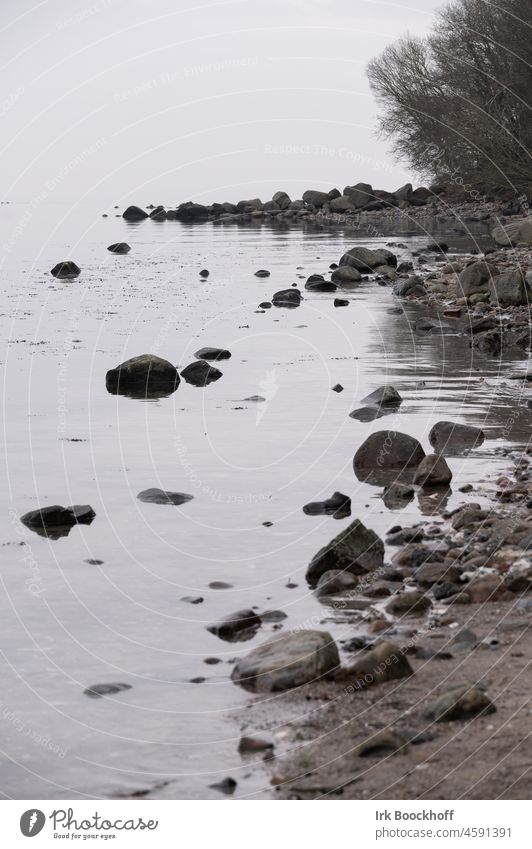 menschenleerer steiniger Küste, die melancholisch wirkt Motiv Werbung Plakat Hintergrund Cover Hintergrundbild Textfreiraum Textfreiraum Mitte