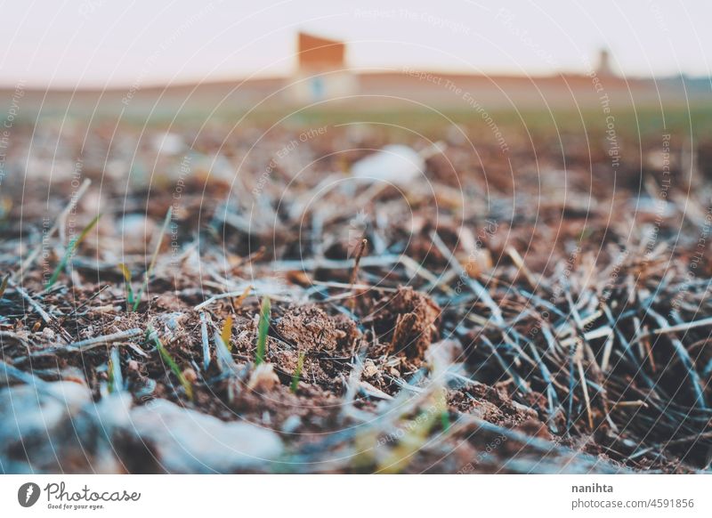Verlassene landwirtschaftliche Flächen in der Nähe eines Lagergebäudes Boden Erde Umwelt Sprossen Weizen warm Herbst fallen schließen abschließen Details Steine