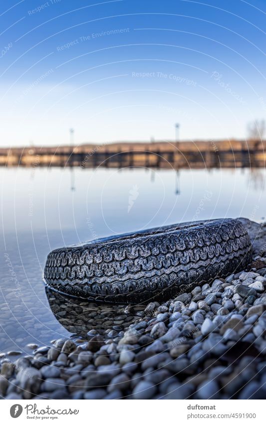 Weggeworfener Auto Reifen liegt am See im Wasser Müll Müllentsorgung verboten Natur Naturschutz Müllabfuhr wegwerfen Umweltverschmutzung ufer Ordnung Abfall