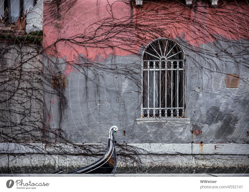 Eine alte, verwitterte Fassade mit rankender Pflanze und Fenster, davor ein Stück einer Gondel. Ein Fragment von Venedig. verwittermCharme Verfall vergittert