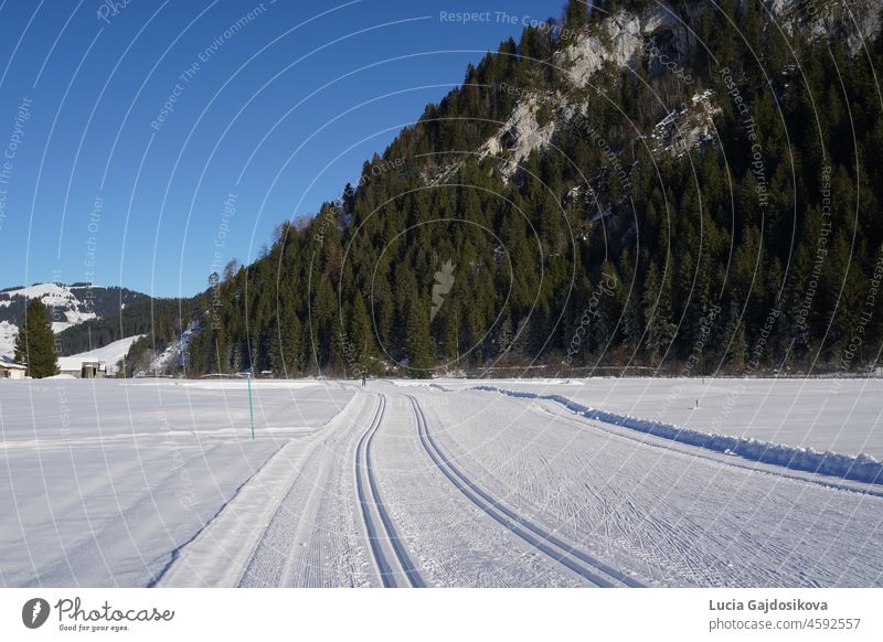 Präparierte Loipen für den Skilanglauf in einer Winterlandschaft im Studener Tal, das in der Schweiz für den Wintersport bekannt ist. Die flache Landschaft ist von Bergen umgeben und wird von der Mittagssonne beleuchtet.
