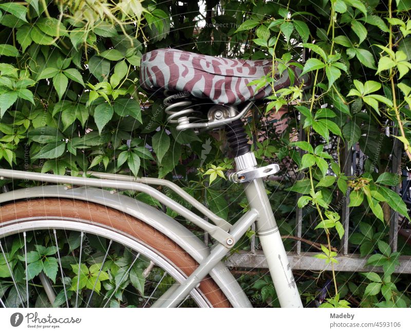 Graues Damenrad mit Sattelschoner in Camouflage Optik vor einem Eisenzaun mit wild wucherndem Grün im Nordend von Frankfurt am Main in Hessen Deutschland