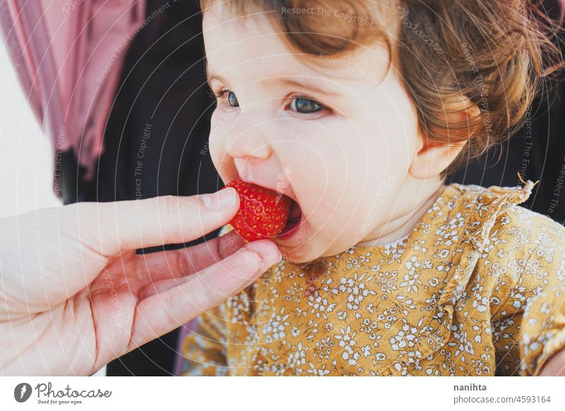Kleines Mädchen isst eine Erdbeere blw Baby essen Futter Erdbeeren Frucht lernen Leben Gesicht bezaubernd lieblich Kindererziehung Kleinkind kleines Mädchen