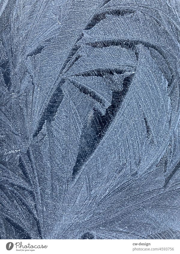 Eisblumenkunst Ruhe Stimmung Textfreiraum nordische Kälte Winterstille winterliche Stille ruhig winterliche Stimmung Kälteschock Stimmungsbild Winterkälte