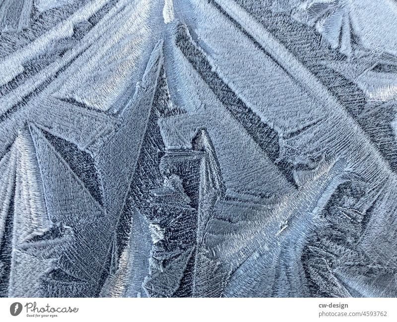 Eiskristalle Kristalle Kristallstrukturen Kristallglas Winter kalt Frost gefroren Schnee frieren Eisblumen Makroaufnahme Natur weiß Nahaufnahme Außenaufnahme