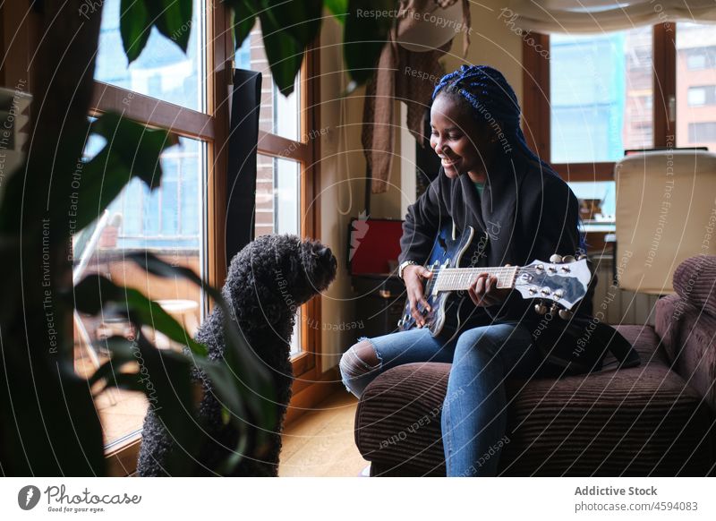 Schwarze Frau spielt Gitarre und sitzt auf der Couch gegenüber einem Pudelhund spielen Hund Haustier Wohnzimmer Musiker Sofa Begleiter Jeanshose Glück Tier