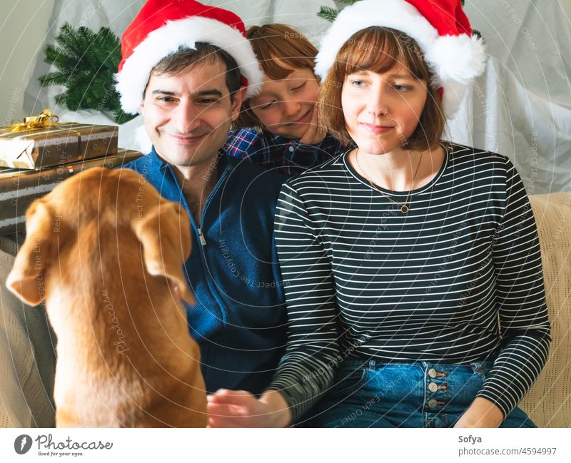 Mutter, Vater, Sohn in Weihnachtsmannmützen und Hund an Weihnachten Familie Papa genießen Lifestyle Liebe Dezember Haustier spielen Lächeln Kind Neujahr Winter