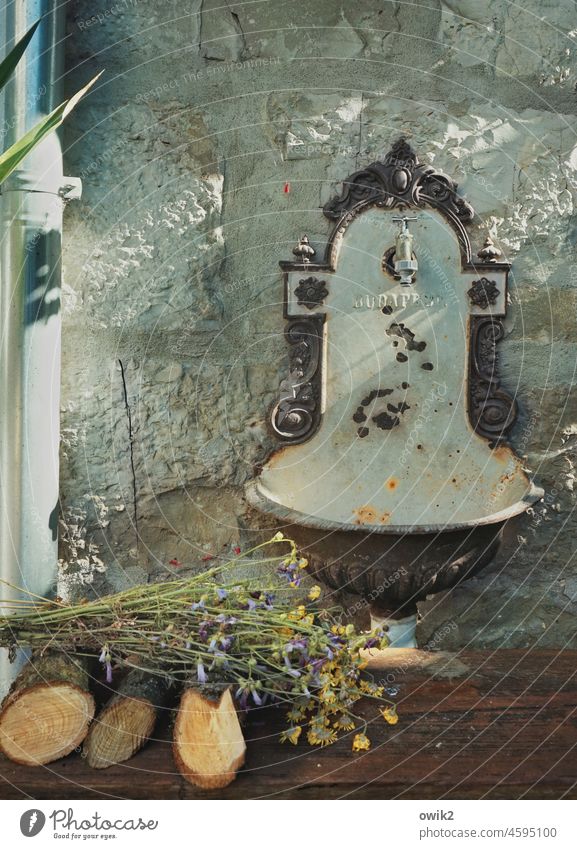 Waschanlage Waschbecken alt historisch malerisch Wasserhahn Wand Gußeisen Vergangenheit Vergänglichkeit Detailaufnahme Mauer Außenaufnahme Menschenleer
