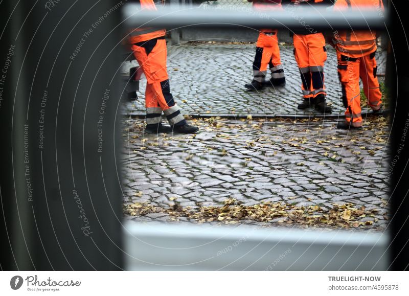 Sauber und frisch ins Neue Jahr: Männer der Stadtreinigung in orange-farbenen Overalls stehen auf dem Straßenpflaster mit Resten von Herbstlaub und machen gerade eine Arbeitspause