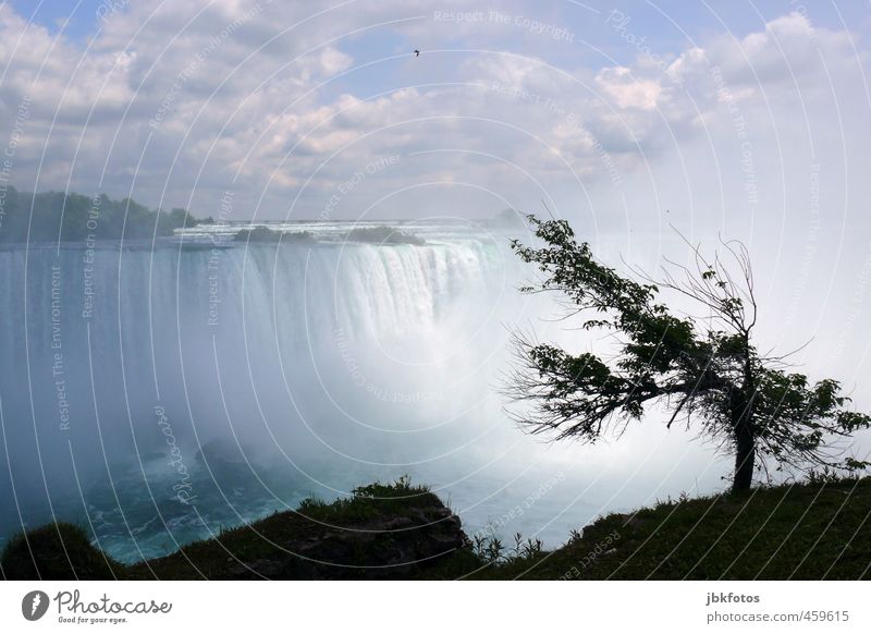 the falls Umwelt Natur Landschaft Urelemente Wasser Himmel Wolken Horizont Sommer Baum Schlucht Flussufer Wasserfall Niagara Fälle Niagara River Aggression