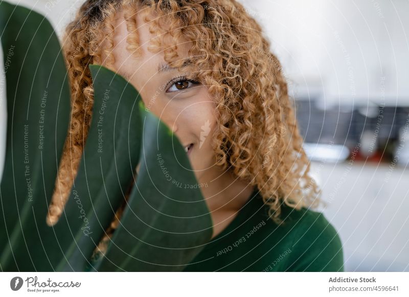 Lächelnde ethnische Frau, die die Hälfte ihres Gesichts mit einem Monstera-Blatt bedeckt Pflanze Deckblatt Fensterblätter grün Glück Porträt Model lässig