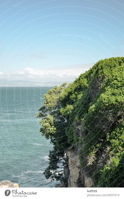Blick aufs Meer, verdeckt durch einen begrünten Felsen Meerblick Felsenküste Horizont Steilküste Steilküste am Meer Klippen weite Ruhe Stille Küste Insel Wasser