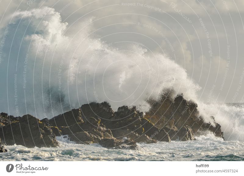 Klippen als Wellenbrecher vor der Küste mit hoher Gischt Brandung Felsen gigantisch hohe Wellen Wasserschwall Wellengang Energie Wasserwand Wasserspritzer Kraft