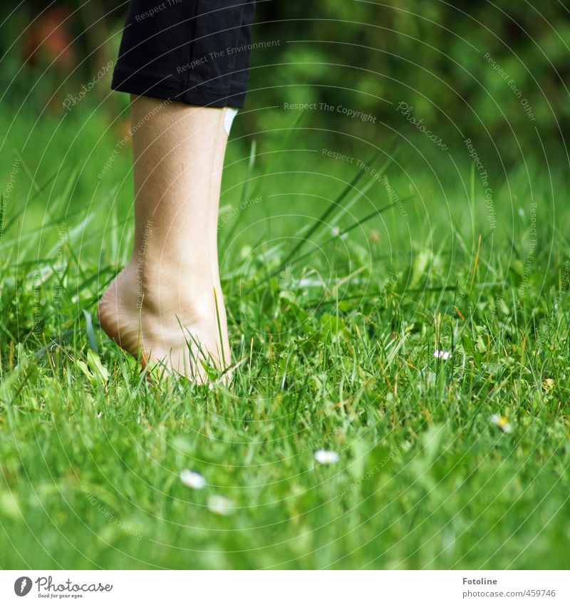 Wenn ich mal groß bin... Mensch feminin Kind Mädchen Kindheit Haut Beine Fuß Umwelt Natur Pflanze Sommer Gras Garten hell natürlich Wärme grün Zehenspitze