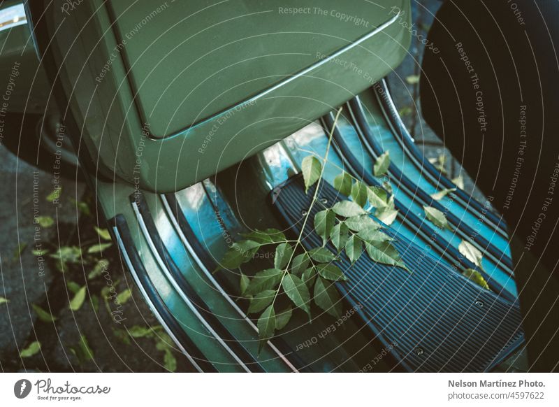 Blätter über einem grünen Motorroller Tretroller Suppengrün frisch Öko Mitfahrgelegenheit elektrisch Lifestyle