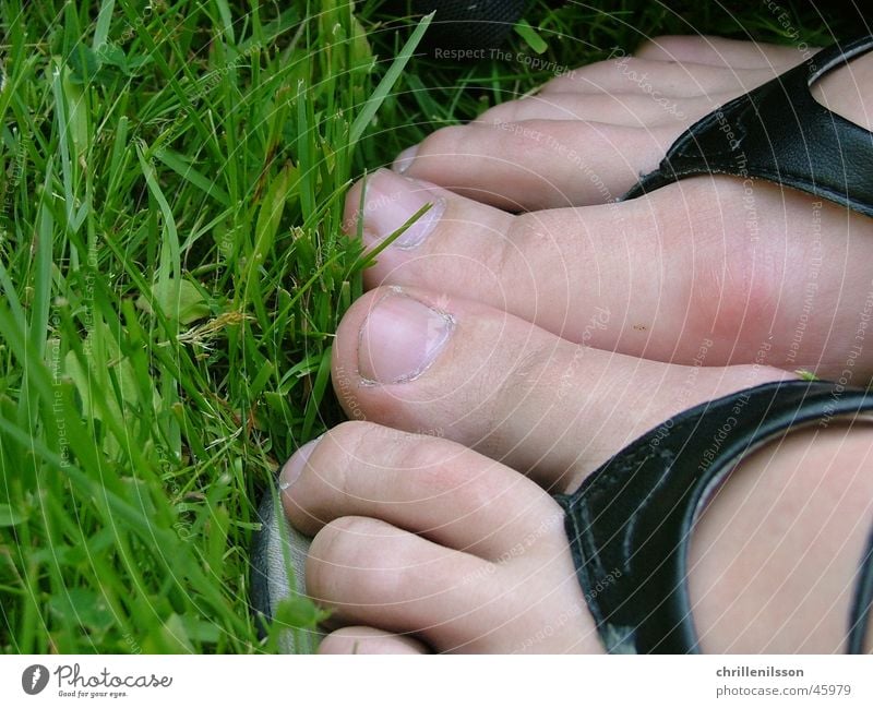 Feet in grass feet foot Fuß