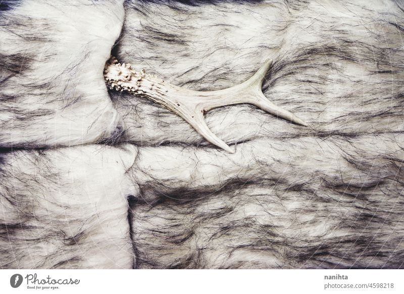 Tierpelz in der Mode Hintergrund Fell teuer jagen Haut Textur abziehen. weich Eleganz Üppigkeit Tierrechte Pelzmantel Mantel Schal Kleidung Winter Behaarung