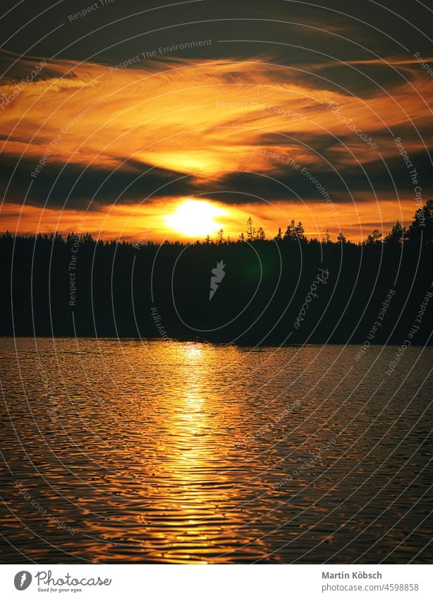 Sonnenuntergang am BEON einem See im Smalland in Schweden. Wunderschöne Lichtstimmung. am see abenddämmerung teich morgen ferien habitat badespaß baden reisen